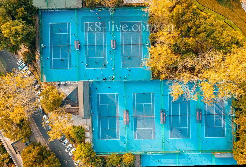 伤停名单与进失球分布并列呈现的赛事信息图